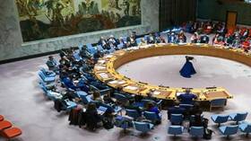 اجتماع لمجلس الأمن الدولي بشأن توريد الأسلحة لكييف بطلب روسي