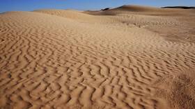 من صحراء المغرب إلى فيافي الجزائر.. إيطالي ينقذ نفسه بدماء الخفافيش!