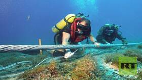 حرس الحدود الفنلندي يحتجز ناقلة يشتبه بتورطها في انقطاع كابل بين فنلندا واستونيا