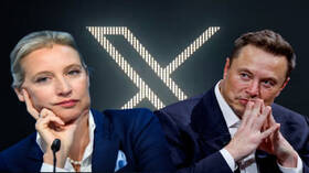 "البديل الألماني" يعلن عن استعدادات لعقد لقاء بين رئيسته وإيلون ماسك عبر منصة "إكس"