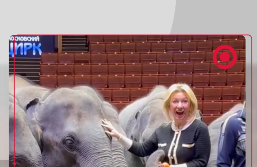 هدية مميزة من ميانمار لروسيا احتفاء بذكرى مرور 75 عاما على العلاقات الدبلوماسية