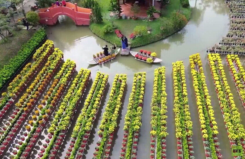 المزارعون في فيتنام يستعدون لاستقبال عيد السنة القمرية الجديدة