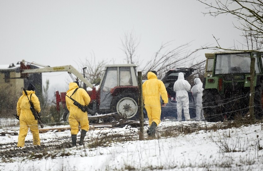 الحكومة الألمانية تتوقع تأثير تفشي الحمى القلاعية على الصادرات الزراعية لألمانيا