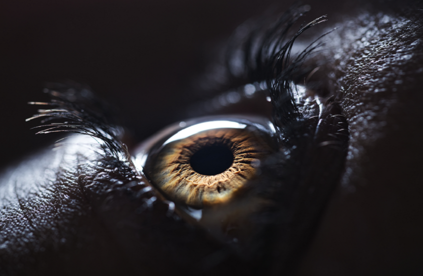 "بصمة" في العين قد تتنبأ بخطر السكتة الدماغية