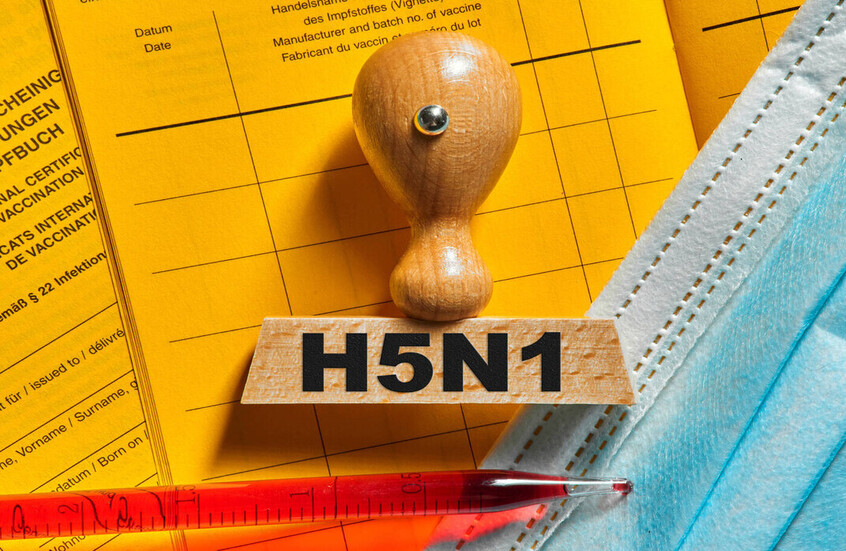 إسرائيل.. اكتشاف حالة جديدة لإنفلونزا الطيور من سلالة "H5N1" ونفوق 24 ألف طائر