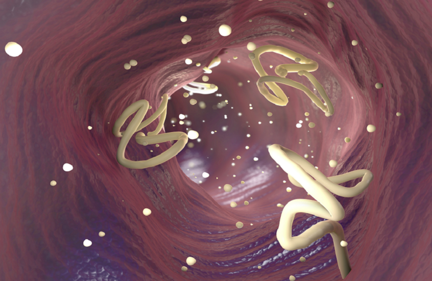 "كائنات خطيرة" تغزو جسد رجل وتصيبه بالرعب (فيديو)