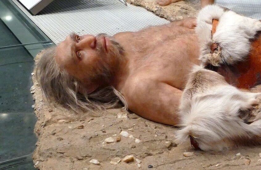 سر انقراض إنسان نياندرتال قد يكون مخفيا في دمه!