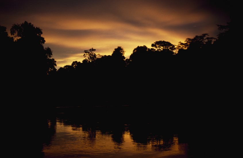 ظاهرة طبيعية مريبة.. نهر يغلي في قلب الأمازون "يسلق ضحاياه أحياء"