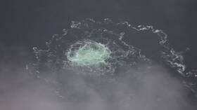 نائب ألماني يدعو إلى إطلاق خط أنابيب "السيل الشمالي" بعد توقف نقل الغاز عبر أوكرانيا