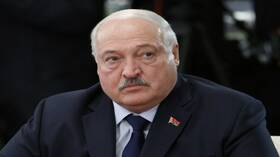 لوكاشينكو يحث المعارضة على القدوم إلى بيلاروس والمشاركة في الانتخابات