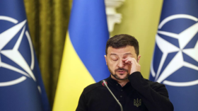 موقع يشير إلى خطأ ارتكبه زيلينسكي سيكلفه منصبه