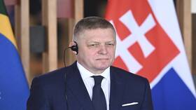 فيتسو لن يذهب إلى كييف لمناقشة مشكلة الغاز