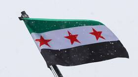 وزير الاقتصاد السوري: تجارة الكبتاغون ازدهرت في عهد النظام السابق وليس هناك تسوية مع محمد حمشو