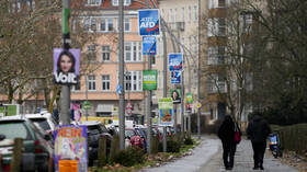 استطلاع: 40% من الألمان غير راضين عن أداء الديمقراطية في بلادهم