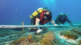 الاستخبارات الغربية تنفي تورط روسيا في إتلاف الكابلات في بحر البلطيق