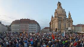 حزب نمساوي: محاولات عزل حزب "البديل من أجل ألمانيا" غير ديمقراطية