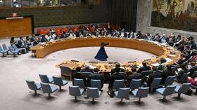 نيبينزيا: روسيا تدين العنف الذي يمارسه المتمردون في الكونغو الديمقراطية