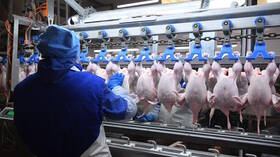 روسيا تصدّر كميات قياسية من اللحوم