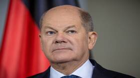 المستشار الألماني منفتح على استخدام الطاقة النووية لإنتاج الهيدروجين