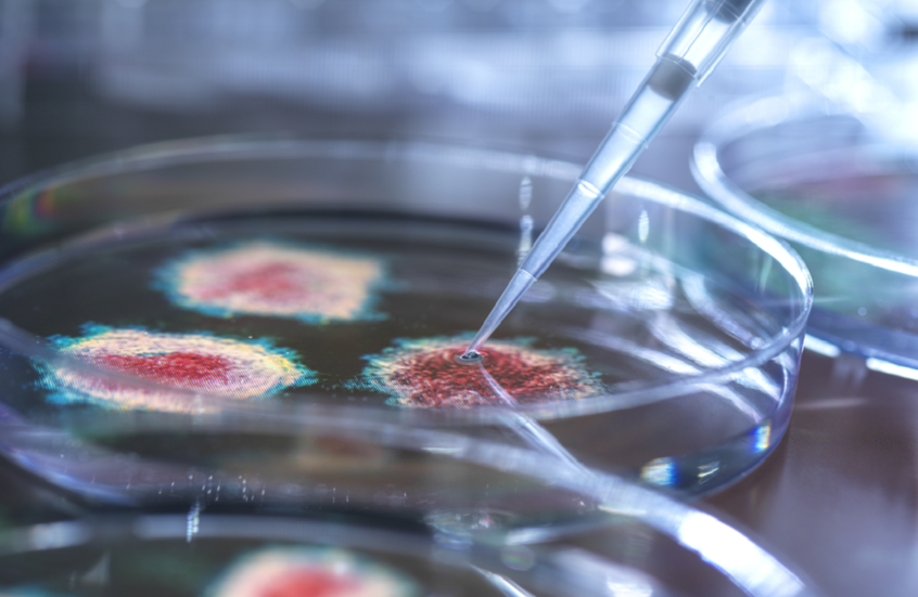 اكتشاف فيروس قاتل في ولاية أمريكية يثير قلق العلماء