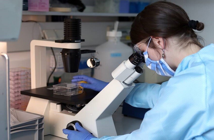 "إسفنجة نانوية" مبتكرة لتنقية المياه من المعادن والأسمدة