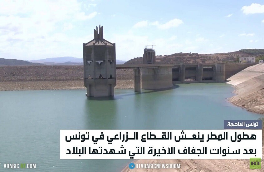 الأمطار تنعش قطاع الزراعة التونسي