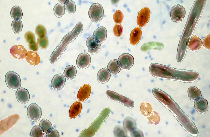 تحذير هام.. قطعة ملابس أقذر من مقعد المرحاض!