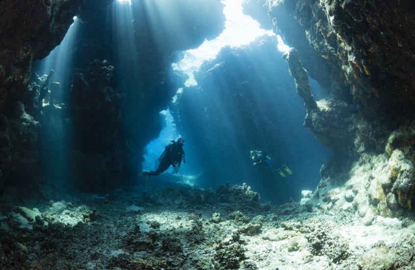 "مصائد موت" في أعماق البحر الأحمر تثير دهشة العلماء
