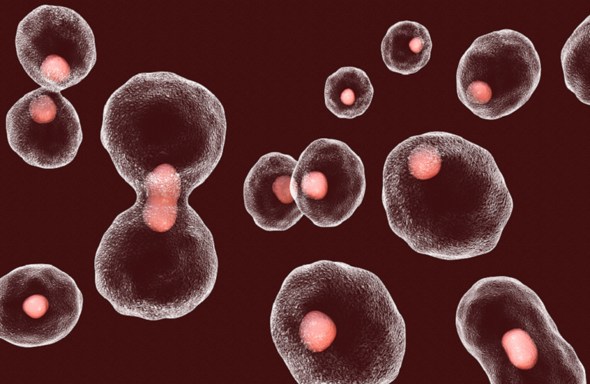 اكتشاف "مفتاح الشباب الدائم".. خطوة جديدة لمحاربة الشيخوخة