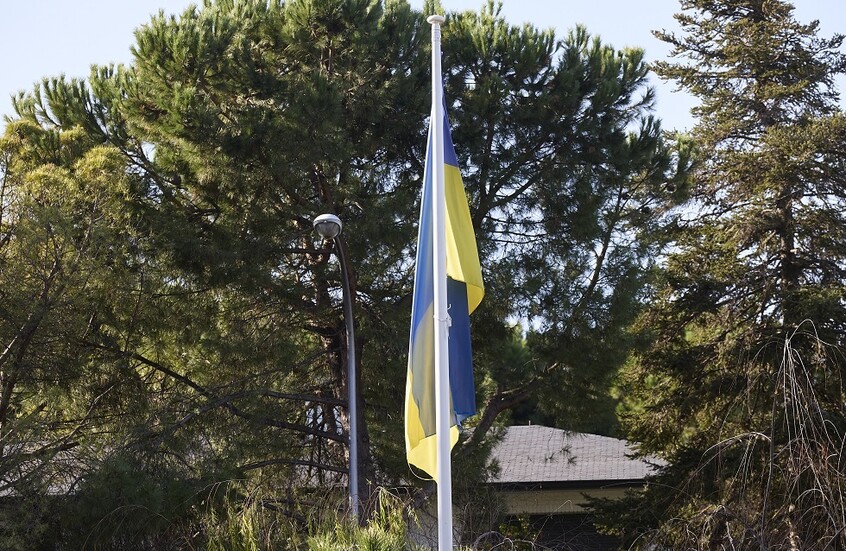 نائب أوكراني: حوالي 80% من الشركات المملوكة للدولة في أوكرانيا خاسرة