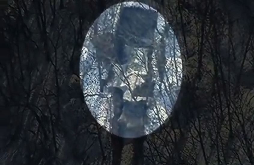 القوات الروسية تقصف موقعا للقوات الأوكرانية في مقاطعة سومي بصواريخ "إسكندر" (فيديو)