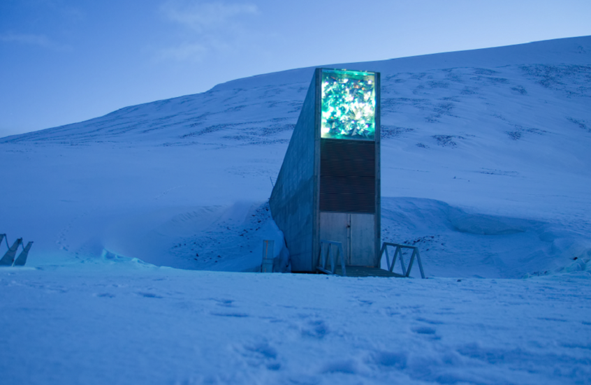 مع وصول دعم جديد من السودان وغيرها.. مشاهد من داخل "قبو يوم القيامة" في القطب الشمالي
