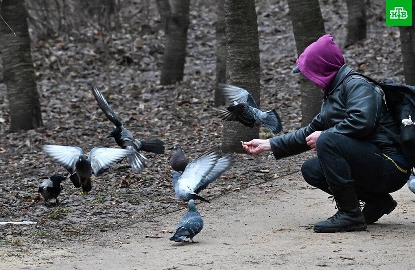 روسيا.. خبير مناخ يتوقع أن تكون حرارة شهر مارس أعلى من المعدل الطبيعي