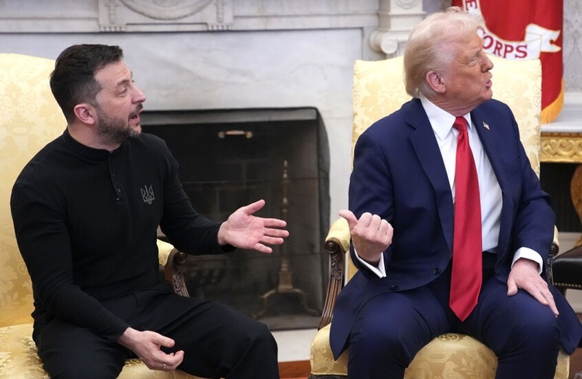 حزب "البديل من أجل ألمانيا" يؤكد دعمه لترامب أمام "المتسول زيلينسكي"