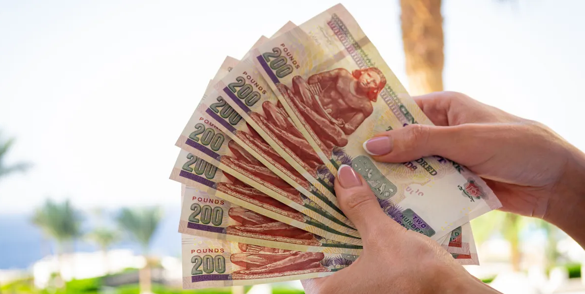 رئيس الحكومة المصرية يعلق على قضية الاحتيال الكبرى بمنصة FBC الأرقام غير واقعية رئيس الحكومة المصرية يعلق على قضية الاحتيال الكبرى بمنصة FBC الأرقام غير واقعية