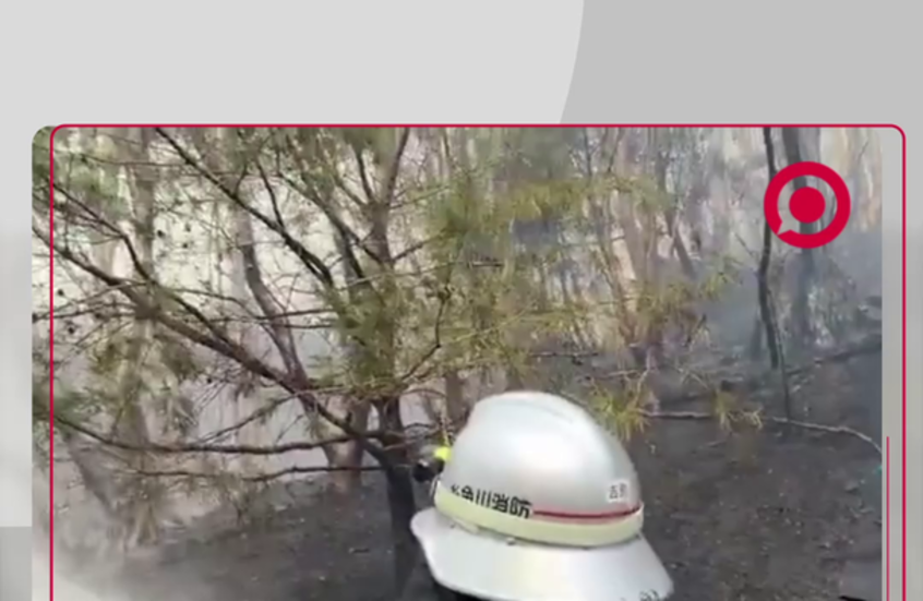 حرائق الغابات في اليابان تتسبب بإخلاء آلاف السكان