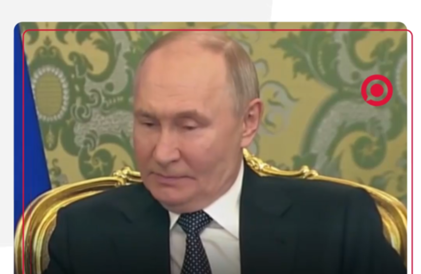 بوتين يشكر رئيس وزراء ميانمار على هدية الأفيال