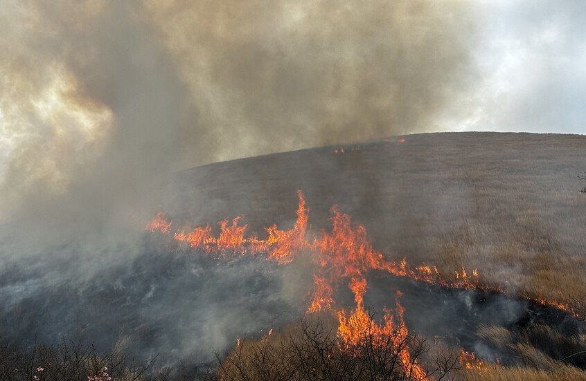 اليابان تبحث إعلان حالة الكوارث مع استمرار حرائق الغابات لليوم الثامن على التوالي