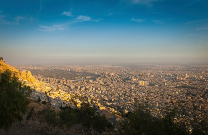 محافظة دمشق تطلق حملة تشجير لإعادة الألق الأخضر للعاصمة