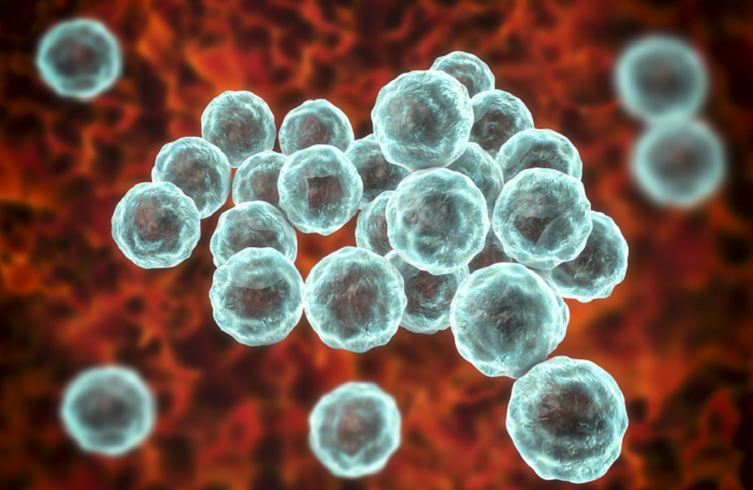 اكتشاف مفاجئ.. الرجل قد يكون المصدر الخفي لعدوى نسائية شائعة