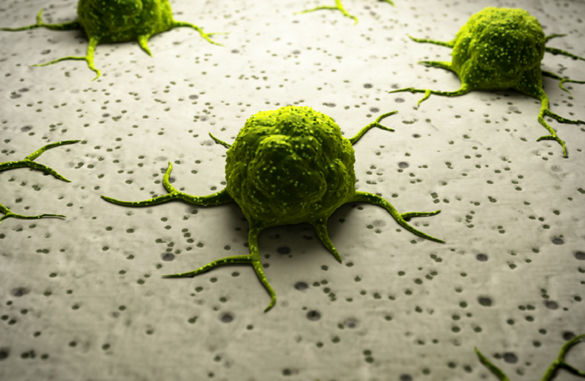 غذاء شائع في آسيا قد يكون سلاحا ضد السرطان