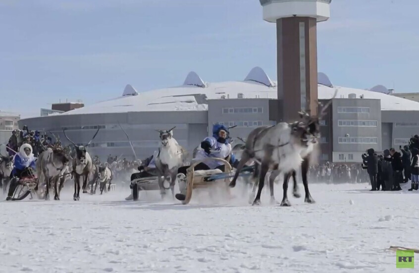 روسيا.. سباقات زلاجات الرنة في ياقوتيا