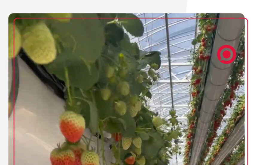 الصين تثير حماسة رواد شبكات التواصل الاجتماعي بتكنولوجيا حديثة أخرى