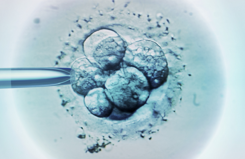 تقنية جديدة تطيل عمر الحيوانات المنوية وتعزز نجاح التلقيح الاصطناعي