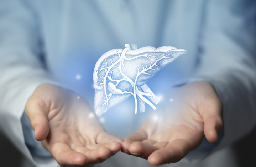 لمدة 10 أيام.. كبد خنزير معدّل وراثيا يعمل داخل جسم إنسان