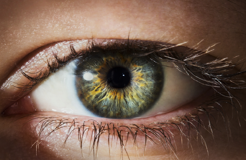 تحديد خلايا جديدة في العين قد تفتح آفاقا لعلاج العمى