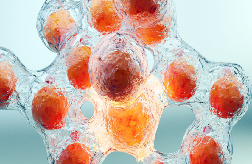 منافس طبيعي جديد لأوزمبيك في إنقاص الوزن!