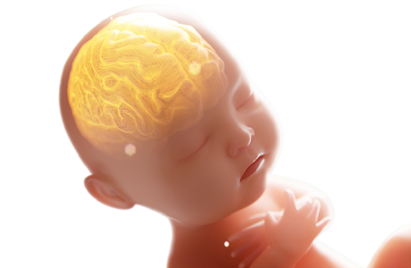 خطر خفي في المنازل 