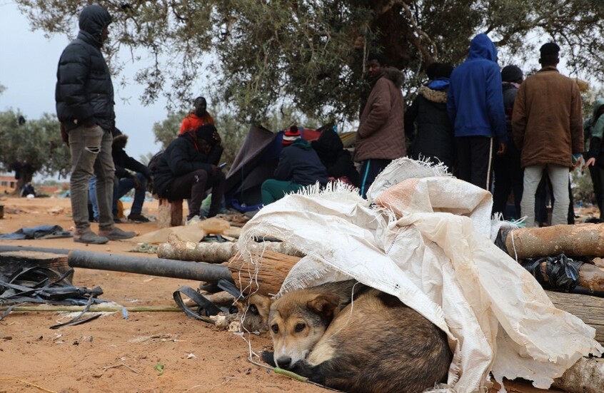 تونس.. إخلاء مخيمات أفارقة دول جنوب الصحراء بالعامرة وجبنيانة