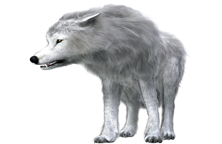 إعادة الذئب الرهيب إلى الحياة بعد انقراض دام آلاف السنين!